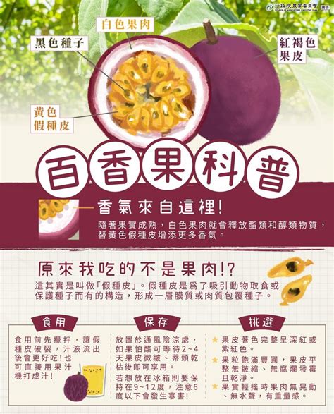 紅龍品種|紅龍果品種大集合(農業E報